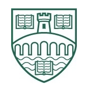 圣靈大學