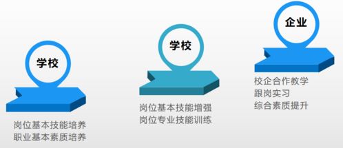 三河單招工商企業管理 數據處理服務的機遇與路徑